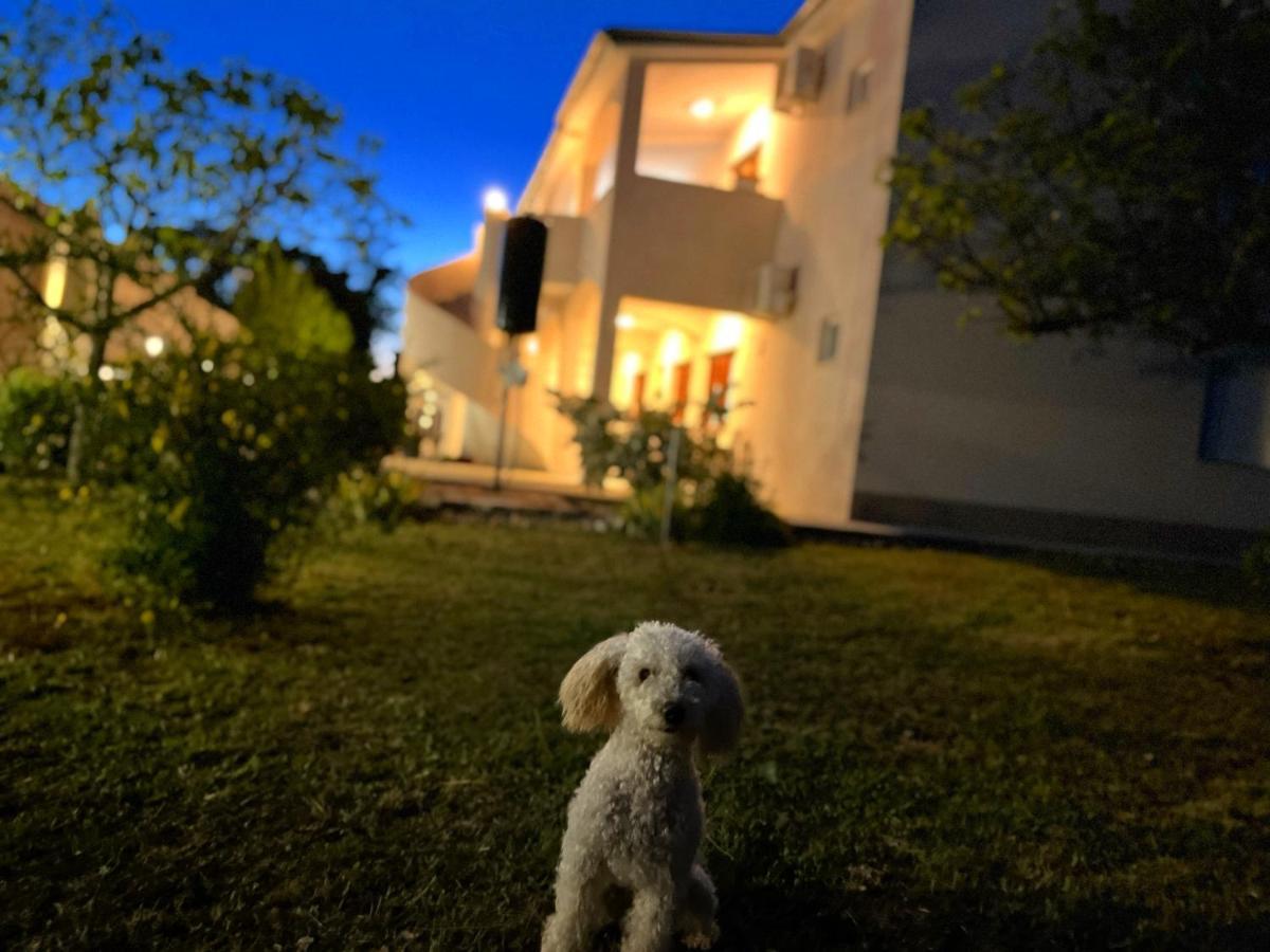 Apartments Fortuna Biograd Na Moru Exteriör bild